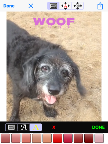 Screenshot #6 pour iMagiGIF - time-bending animated GIF maker camera