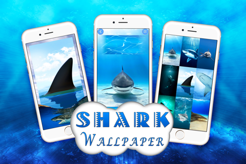 Shark Wallpaper & Lock Screen Themes – Pimp Your Background With Cool Wallpapers screenshot 3