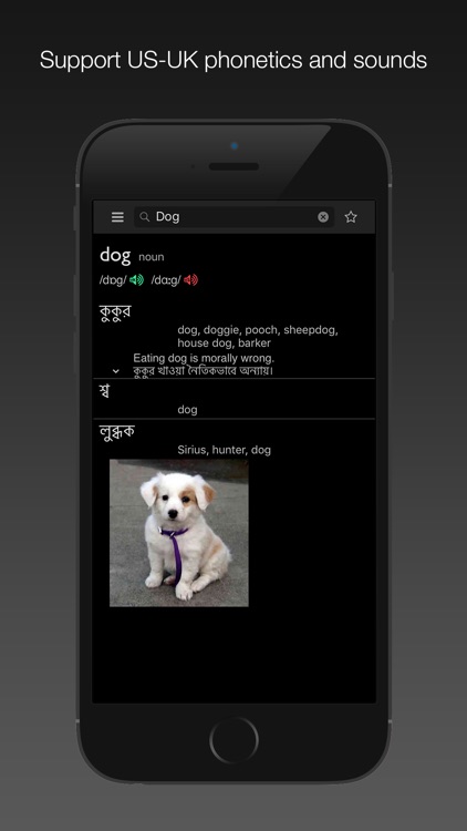 Bangla dictionary&translator