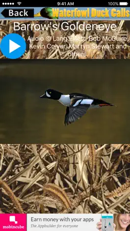 Game screenshot Waterfowl Duck Calls apk