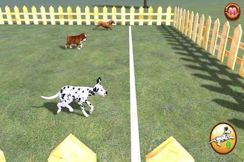 Play with your Dog: Dalmatian screenshot 4