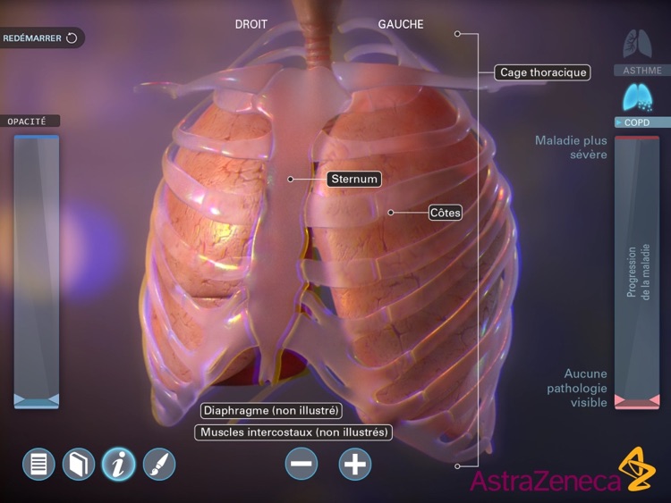 Living Lung