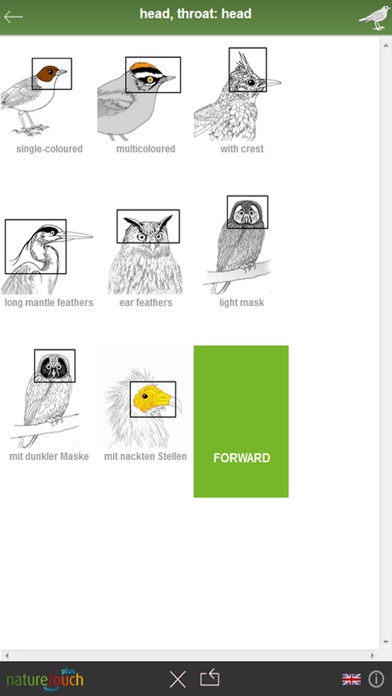 Identify 500 birds, naturetouch Screenshot
