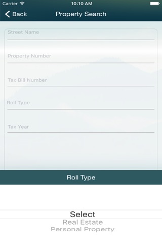 Calhoun County Tax Collector screenshot 2