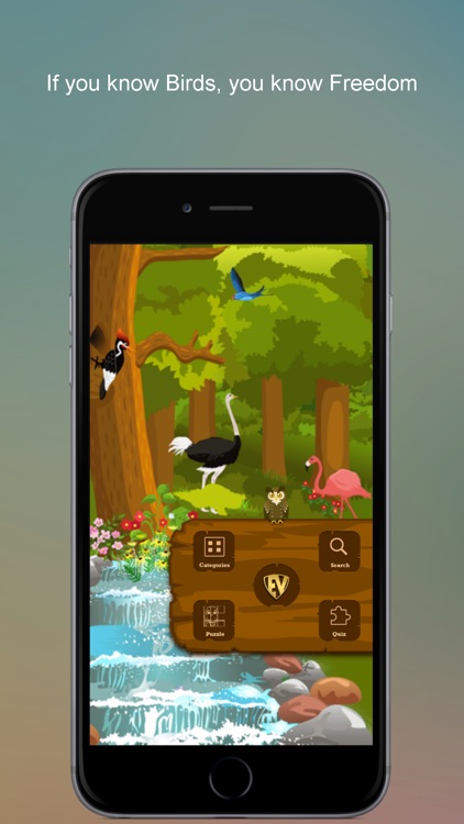 Non Perching Birds PRO: SMART guide to Non Passerines with Games and Puzzles