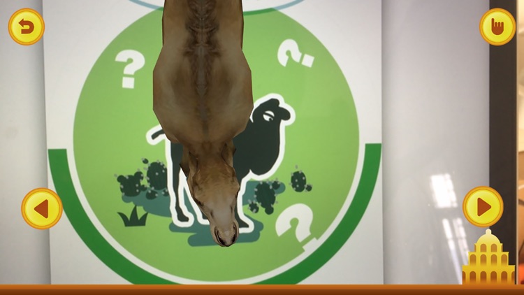 بطاقة  الساحر