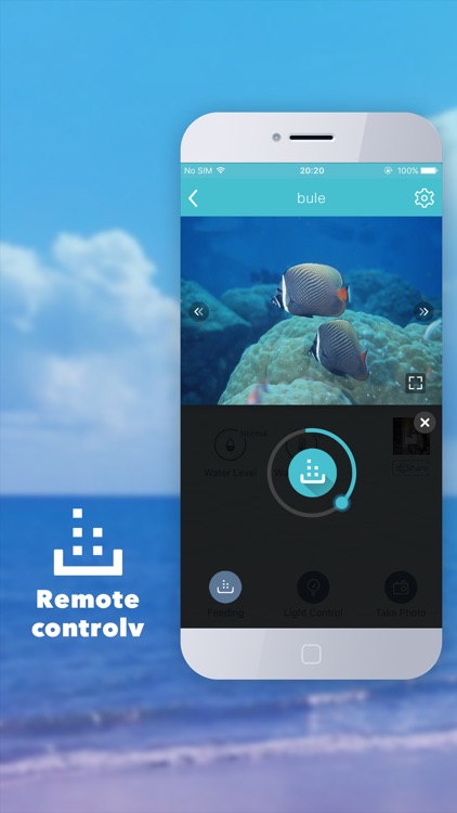 FishStar — Every fish is a super star