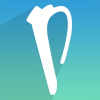 Parrot MINIKIT Neo 2 app funktioniert nicht? Probleme und Störung