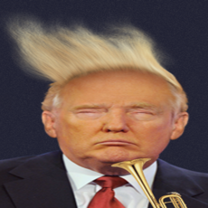 Activities of Donald Trumpet