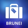 Brunei Detailed Offline Map