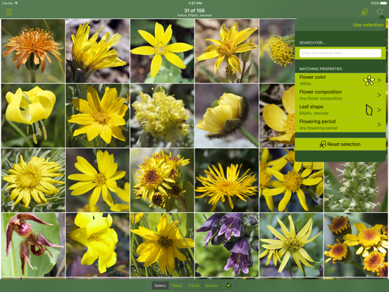 Screenshot #6 pour Rockies AlpineFlower Finder – a field guide to identify the wildflowers of the Rocky Mountains