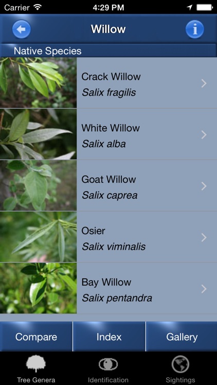 Tree Id Netherlands - Identification Guide to Trees screenshot-4