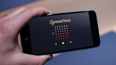 Symmetrica: Minimalistic arcade game Screenshot
