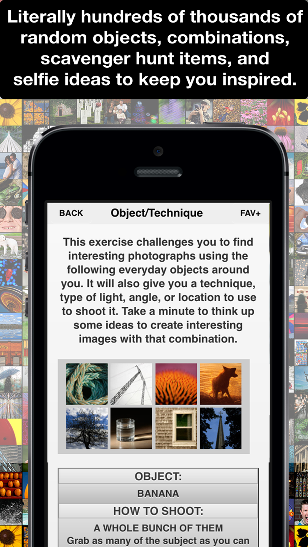 Learn Photo365 Photography Assignment Generator