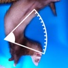 Photo Protractor Photo Protractor