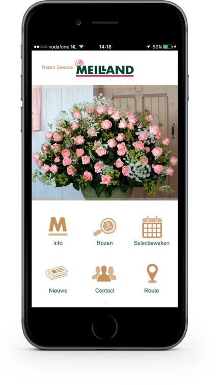 Meilland | Rozen Selectie