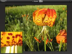 Photo Loupe Free iPad image 4