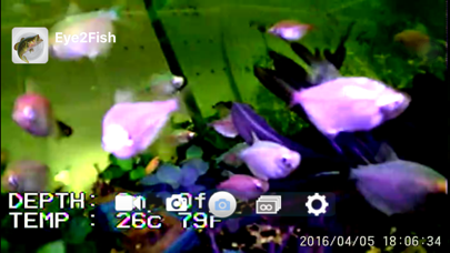 Screenshot #1 pour Eye2Fish