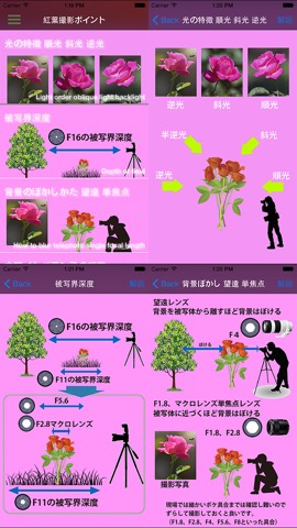 薔薇撮影 notepadのおすすめ画像3