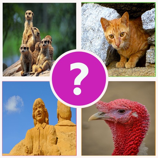 4 Pics 1 Word  Play Daily Guess what's the Picture Puzzle trivia games for free! icon