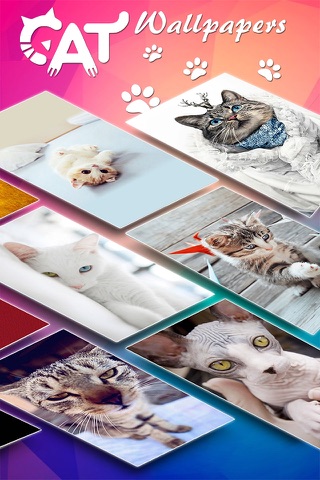 Cat Wallpapers & Backgrounds HD - Home Screen Maker with Themes of Pretty Kittens screenshot 3