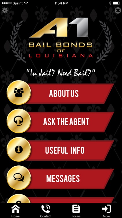 A-1 Bail Bonds Of Louisana screenshot-3