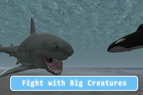 Orca Killer Whale Survival Simulator 3D Full - Play as orca, big ocean predator! screenshot 2