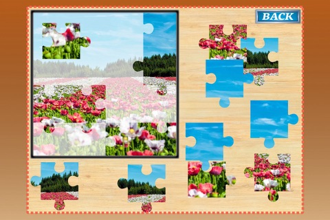 Jigsaw Photo Puzzles 2016  - Free screenshot 2