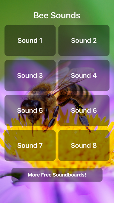 How to cancel & delete Bee Sounds! from iphone & ipad 1