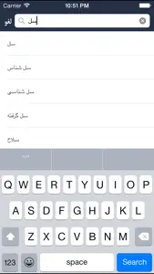 Hooshyar Italy - Persian Dictionary screenshot #3 for iPhone