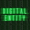 The Digital Entity