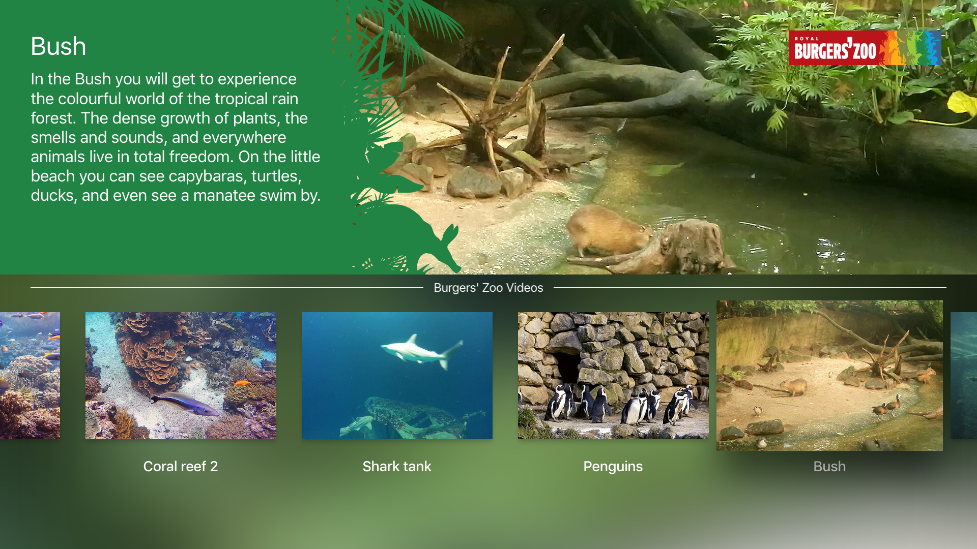 Zoo at home screenshot 4