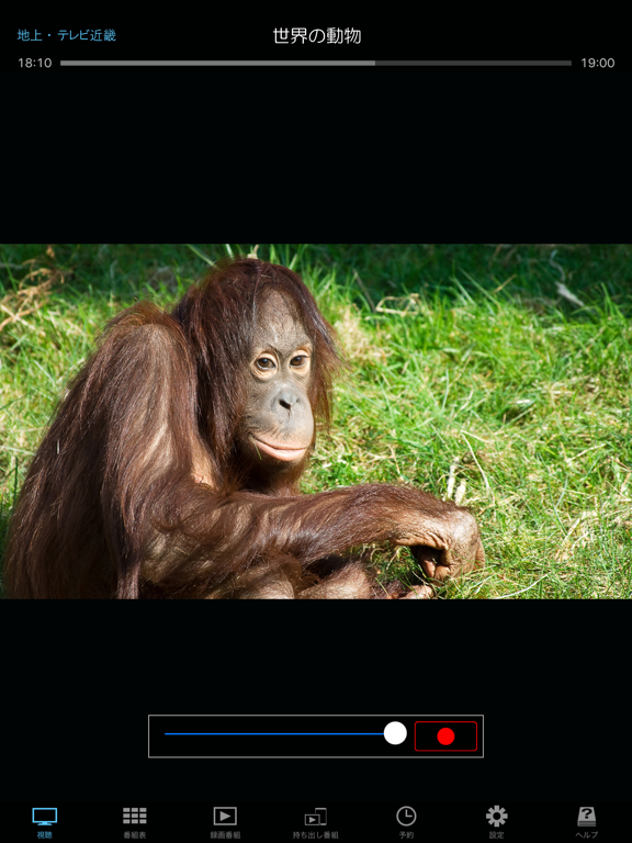 Screenshot #4 pour 地デジViewer （R）