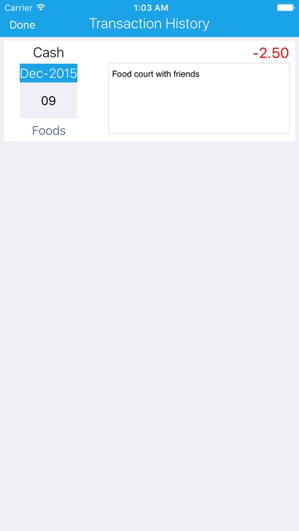 Single Adult Finance Manager