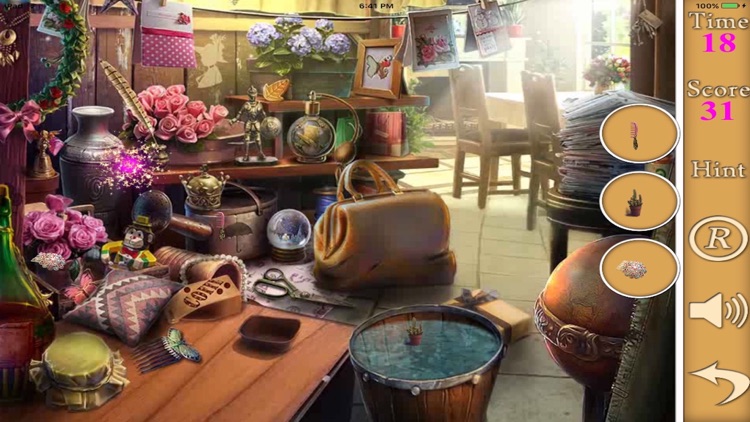 Hidden Objects Of A Good And Clean screenshot-4