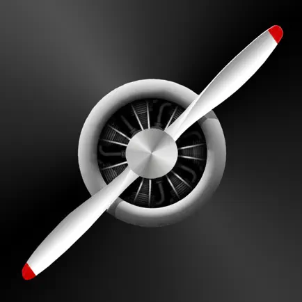Flight Fever Читы