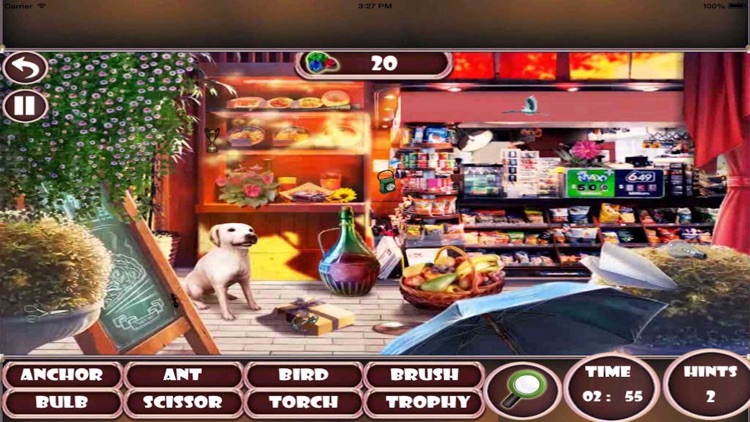 Mystery of Different Places Hidden Objects