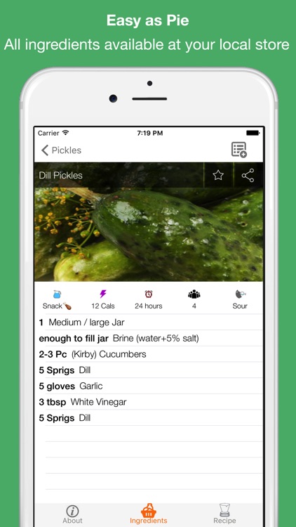 Food Fermentation & Pickling Recipes screenshot-4