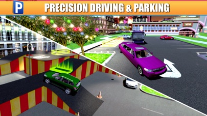 SHOPPING CENTRE CAR PARKING SIMULATOR A REAL DRIVING RACING GAME 1.0.2 IOS