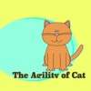 The Agility of Cat
