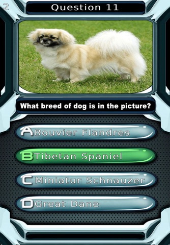 My Dog Breed Quiz for Animal Lovers - Free Trivia To Learn Cute Puppy Breeds Names screenshot 4