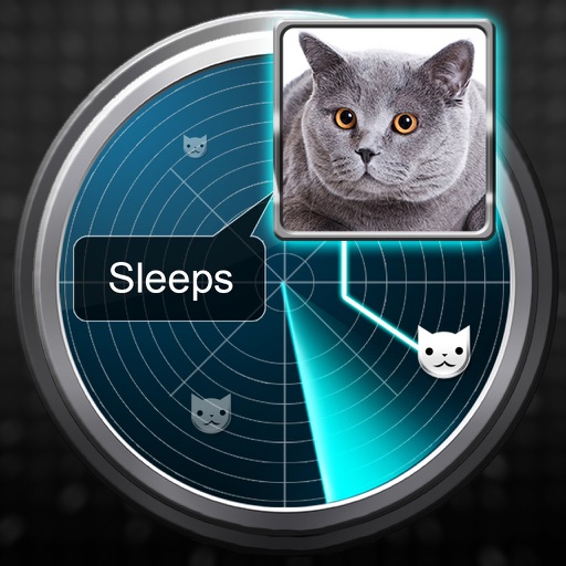 Radar What Makes Cat Joke iOS App