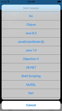 Online Console Compiler screenshot 2