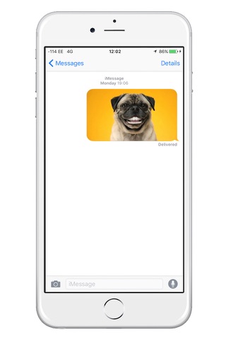 PugMojGif - Animated Pug Gifs for messaging screenshot 3