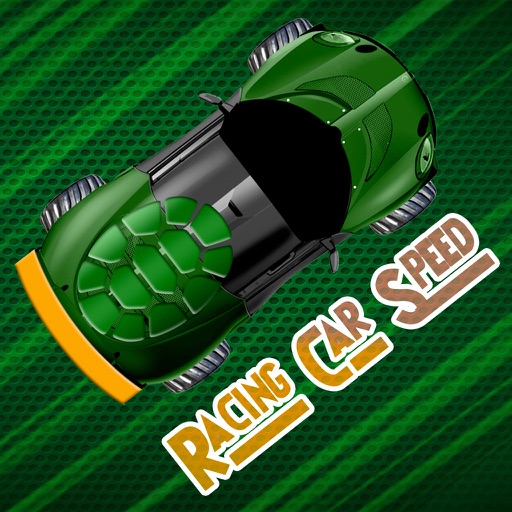 Racing Car Speed - Turtles Hero Run Battle icon