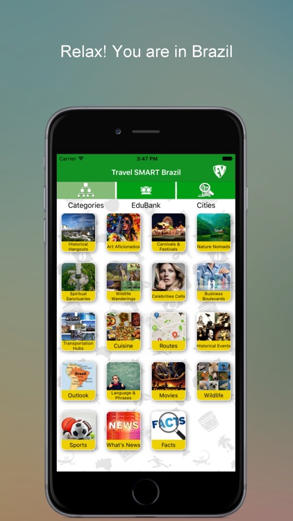 Travel SMART Brazil Guide