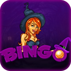 Activities of Wizard Bingo Pro