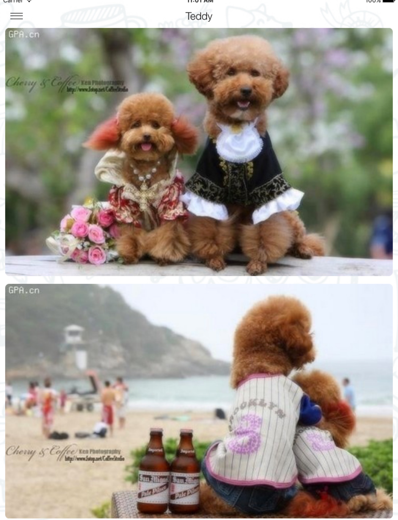 10000+ Cute HD Wallpapers : New retina themes and background screenshot 8