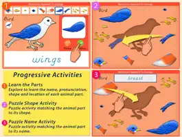 Game screenshot Parts Of Animals (Vertebrates) LITE - A Montessori Approach to Zoology HD hack
