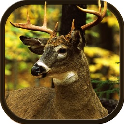 New Deer Hunting Defiance 2016 - The Real Shooting game for shooting lovers